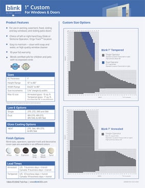 BlinkODL-Custom-flyer-11-20