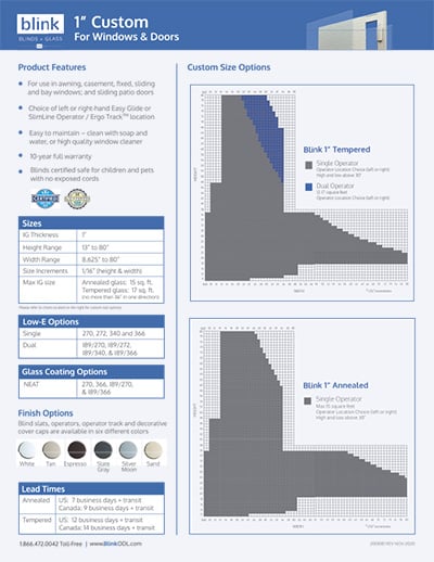 BlinkODL-Custom-flyer-11-20